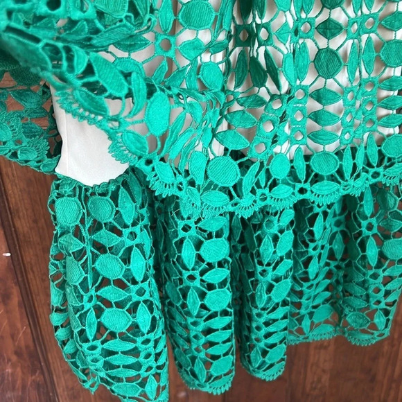 Ryan Michelle Dress Green Floral Lace - Picture 8 of 13